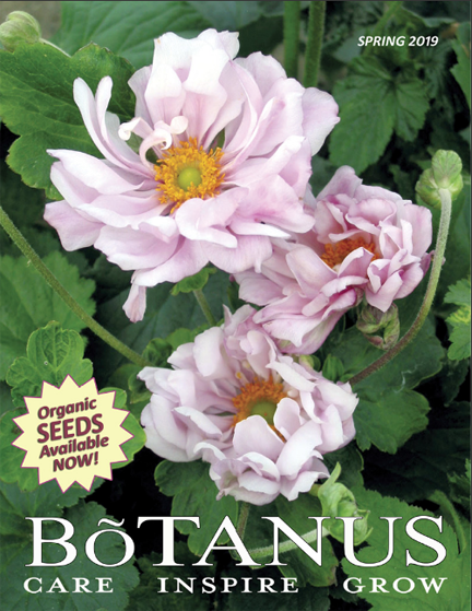 Three Dogs In A Garden Mail Order Seed And Plant Resource List