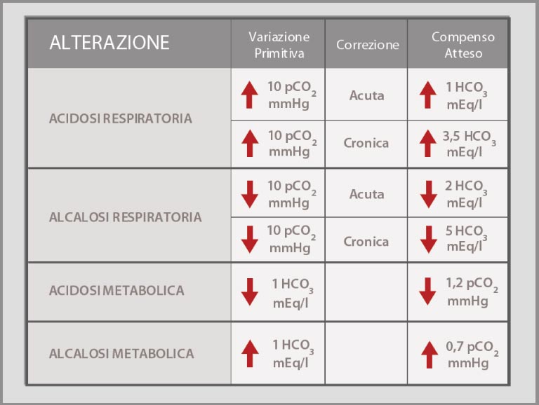 LETTURA EMOGASANALISI PDF