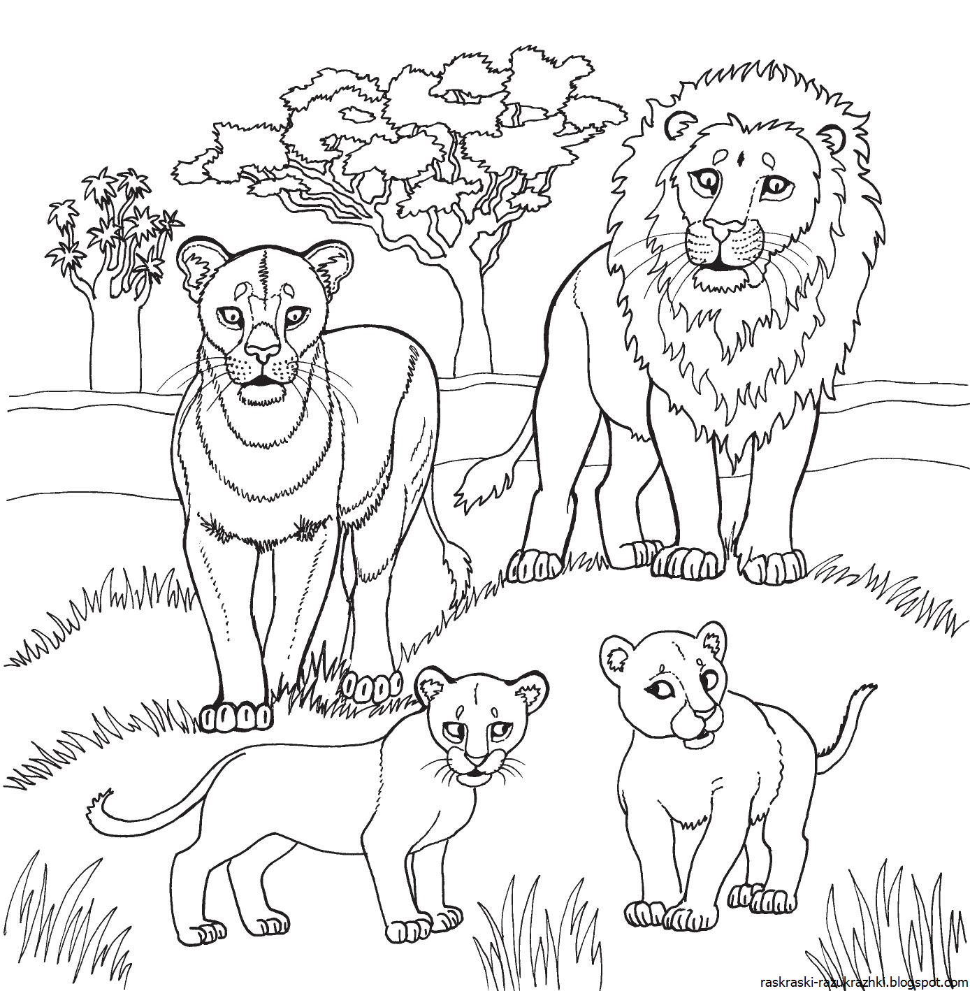 Раскраска Животные Для Детей 10 Лет