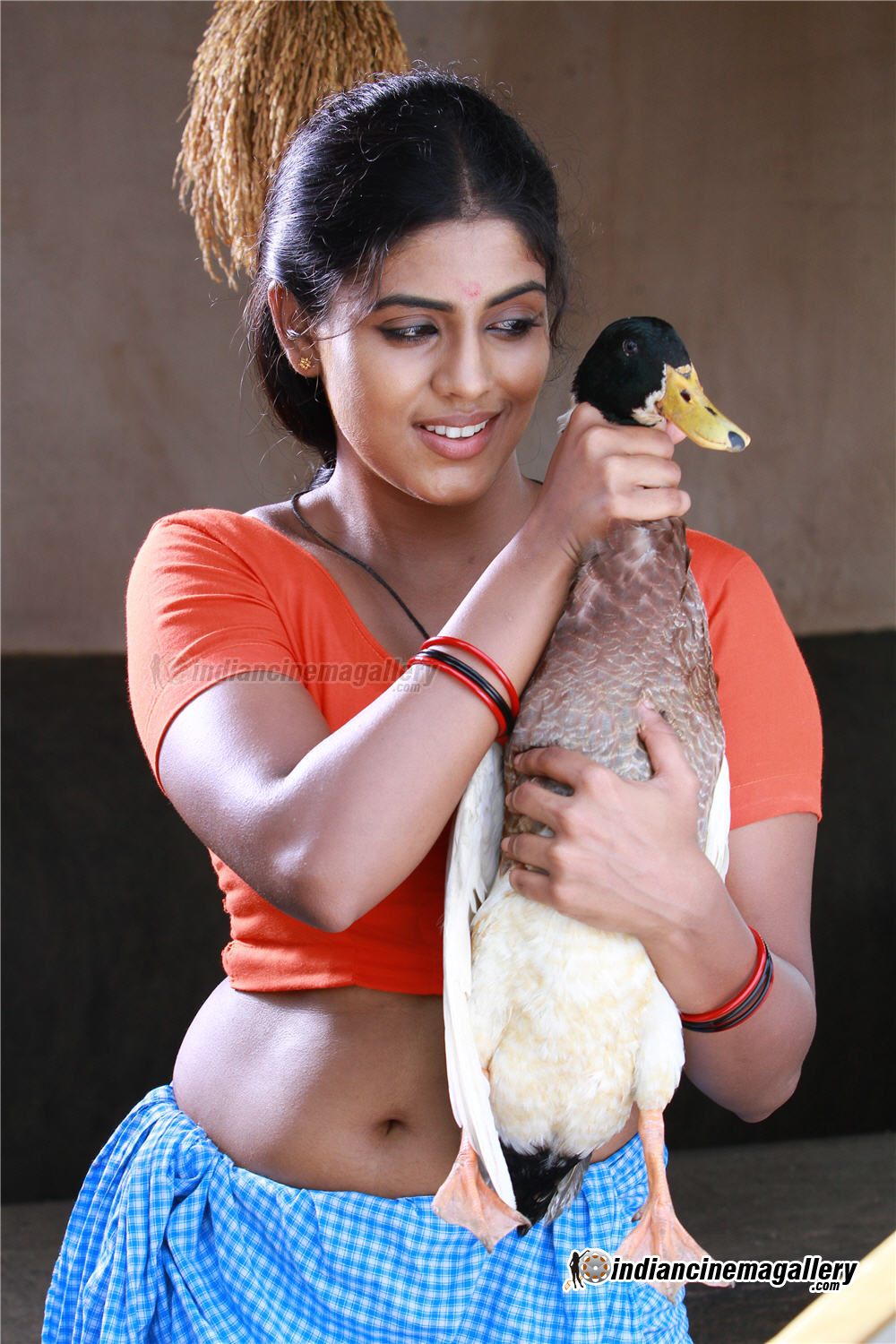 Iniya Sex Movie - Top Hot And Cute South Indian Actress Wizard Iniya 30900 | Hot Sex Picture