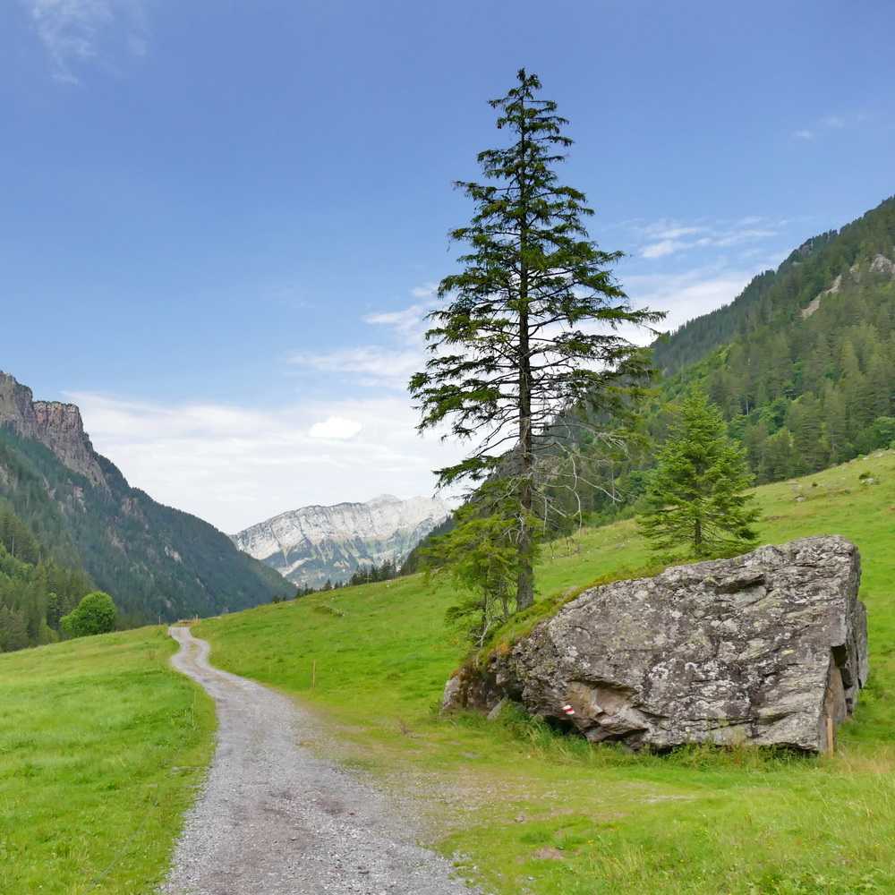 Geheimtippreisen Wandern im schönen Murgtal