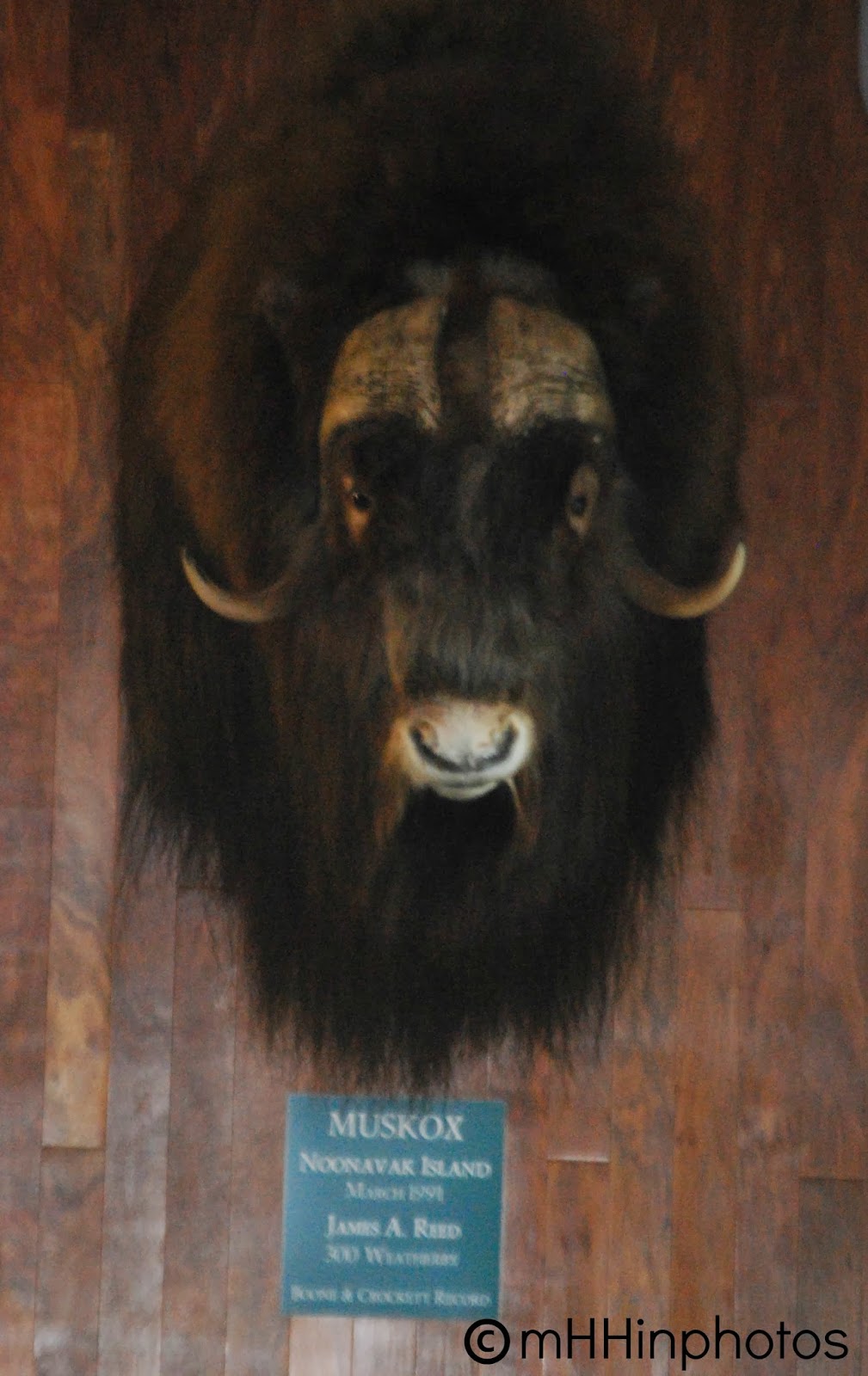 my Heritage Happens in Photos Juneau, Alaska Chilkat Theater