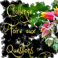 http://paysdecoeuretpassions.blogspot.ca/2013/11/ou-en-suis-je-dans-mes-challenges.html