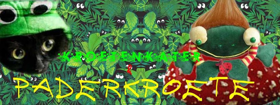 Paderkroete November 2011