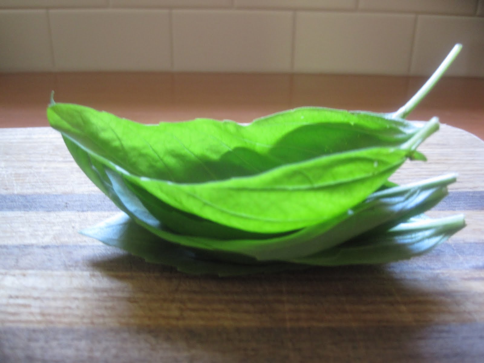 In The Yellow House The Basil Chronicles Part 3 Infused Sea Salt