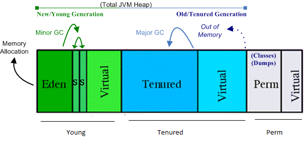 Computer science and software development.