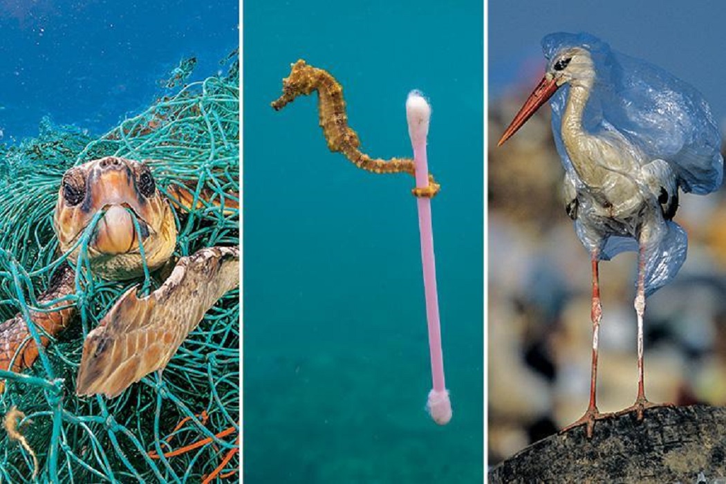 National Geographic’s Photos Of The Harsh Reality Of Plastic Pollution