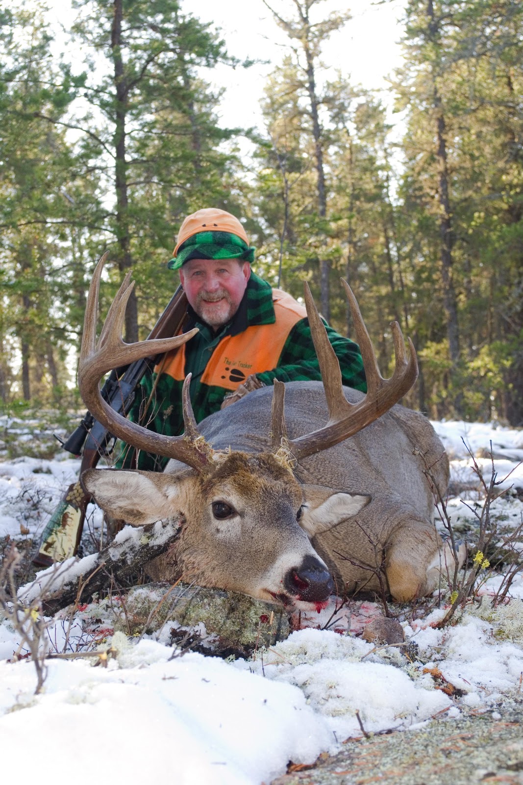 Hustler rm power levels Naked deer picture
