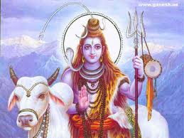 Shiva forex