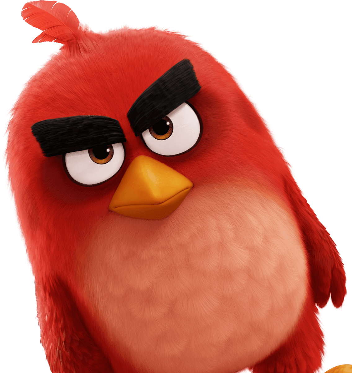 .PNG de Películas!: .PNG of THE ANGRY BIRDS MOVIE