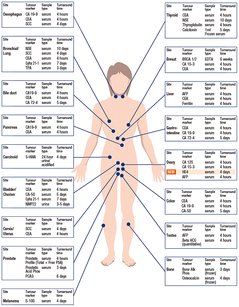 Са 19 9 норма у мужчин. Таблица онкомаркеров. Таблица онкомаркеров для женщин. Схема онкомаркеров на теле. Направление на онкомаркеры.