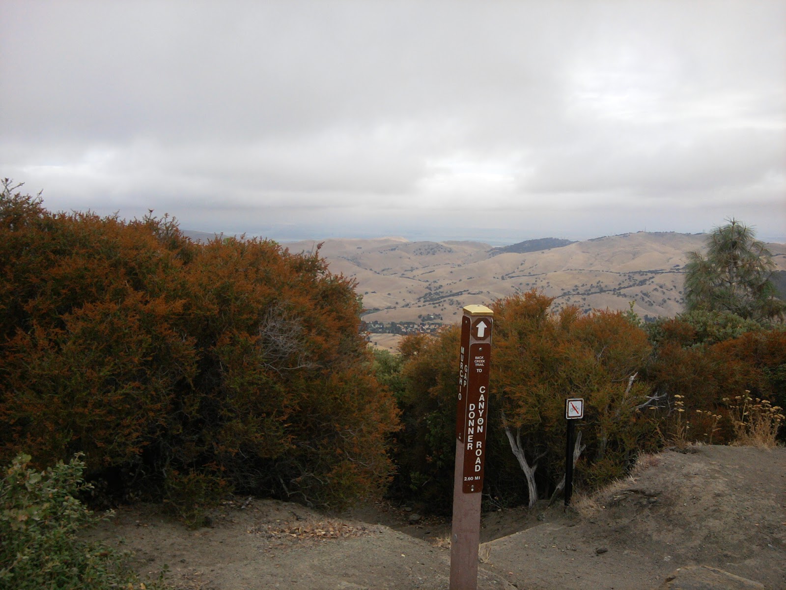 Mt. Diablo State Park