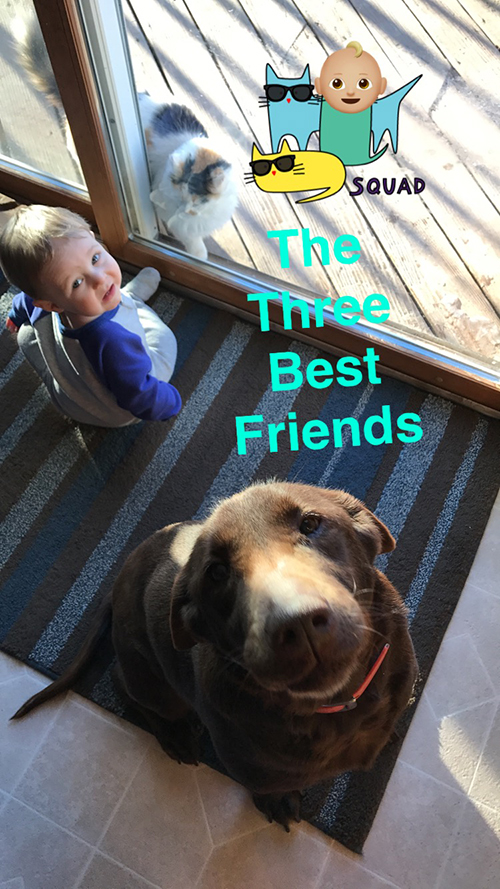 Grace | My Darling Days Grace | My Darling Days