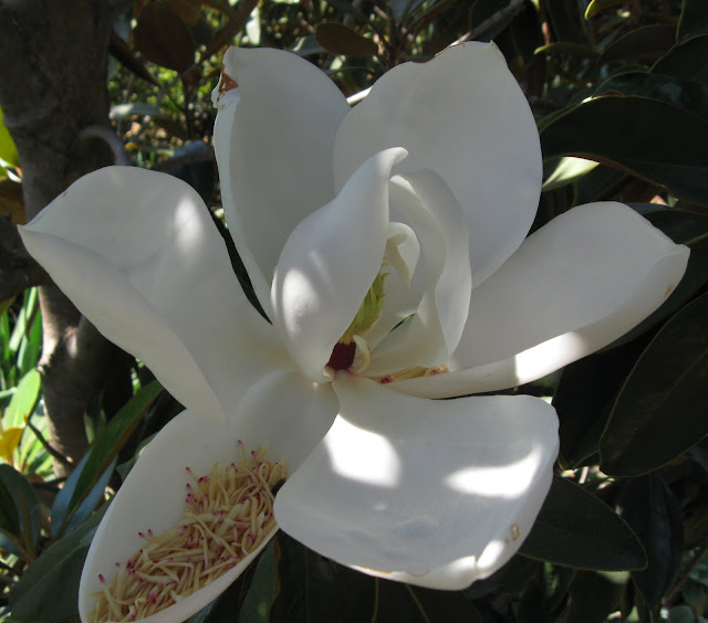 My Travels: July 2011