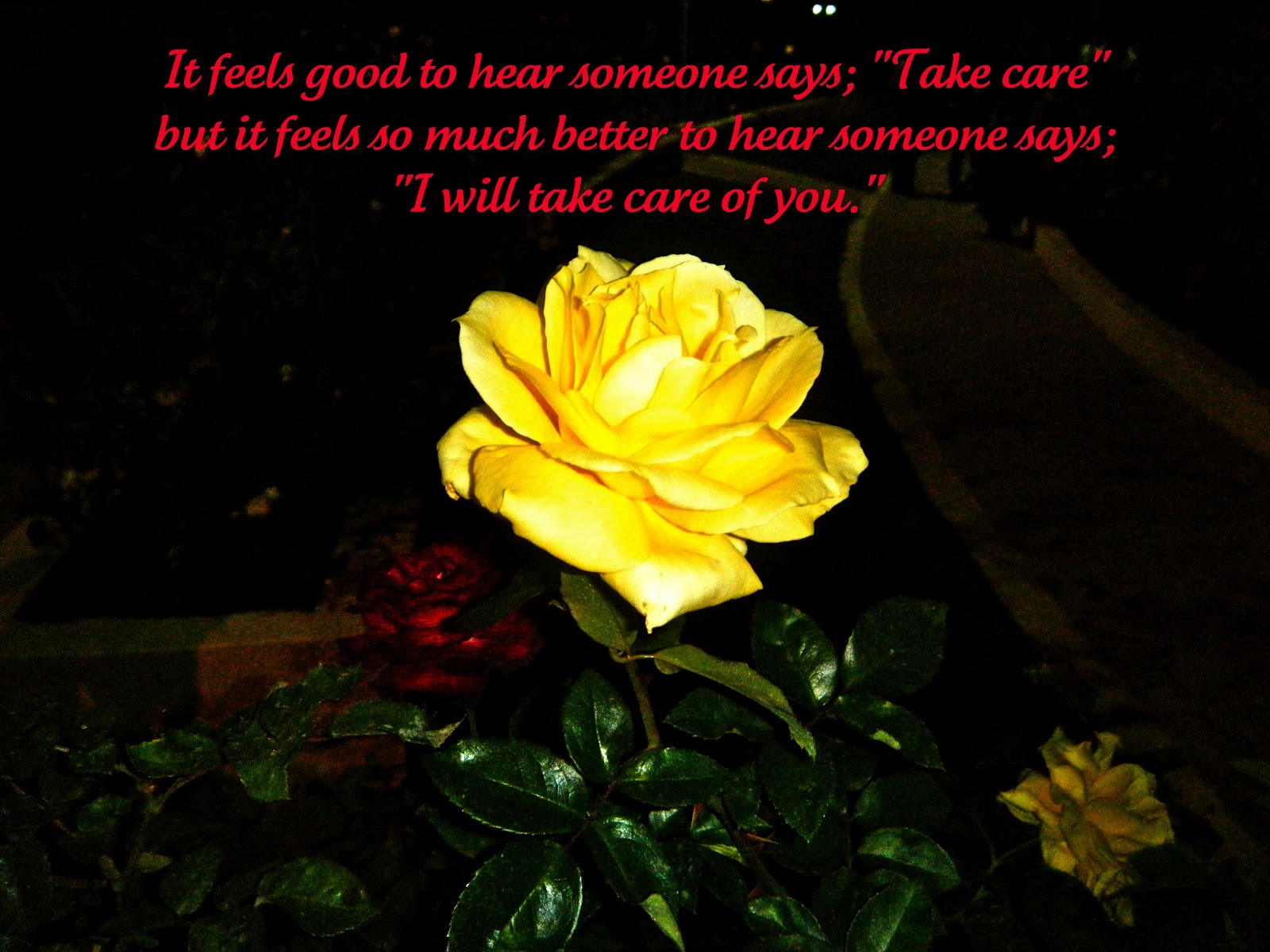 Flowery Blessing: It feels good to hear someone says; "Take care" but