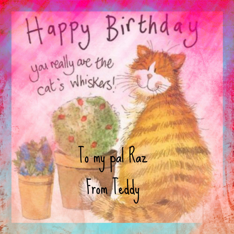 Friends Furever Happy Birthday Raz And Caturday Cat Art