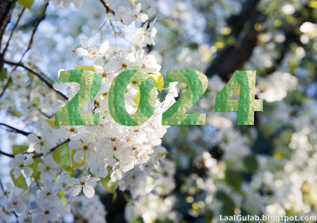 Happy New Year 2024 Wallpapers HD Images 2024 Happy New Year 2024 Wallpapers