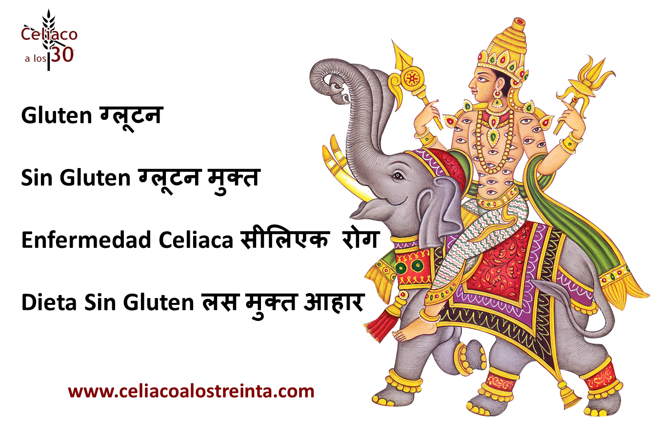 Garam Masala Sin Gluten y otras especias de la cocina india