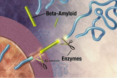 Proteina amiloide origine vita sulla Terra