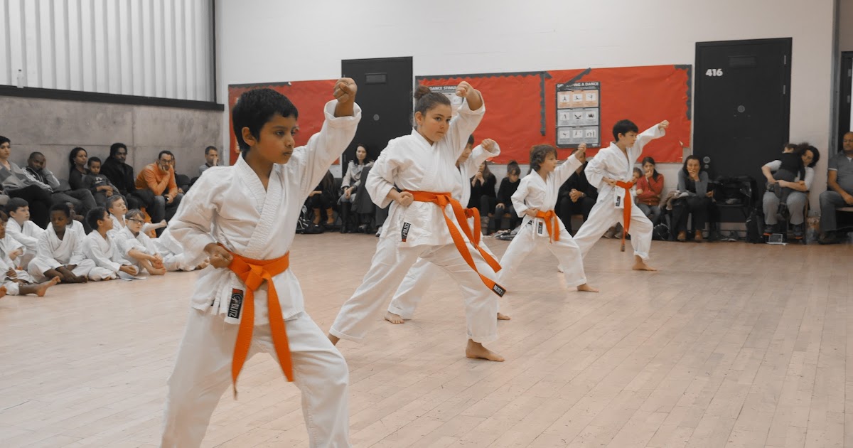 my karate club