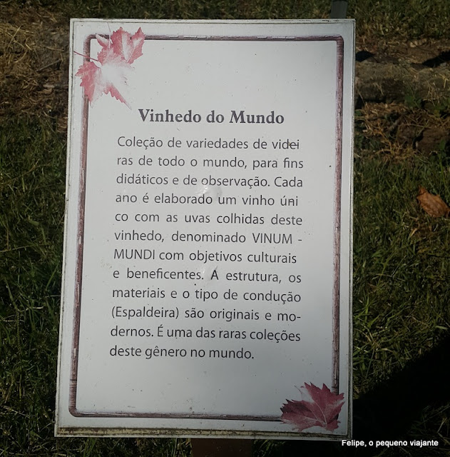 Vinícola Dal Pizzol em Bento Gonçalves: conhecendo o Ecomuseu da Cultura do Vinho e o Vinhedo do Mundo