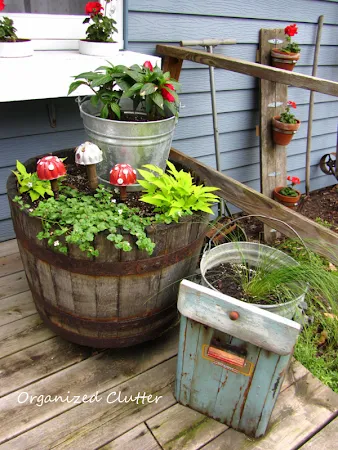 Cool Container Junk Gardens