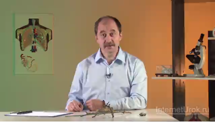 Урок По Фгос Биология Сонин