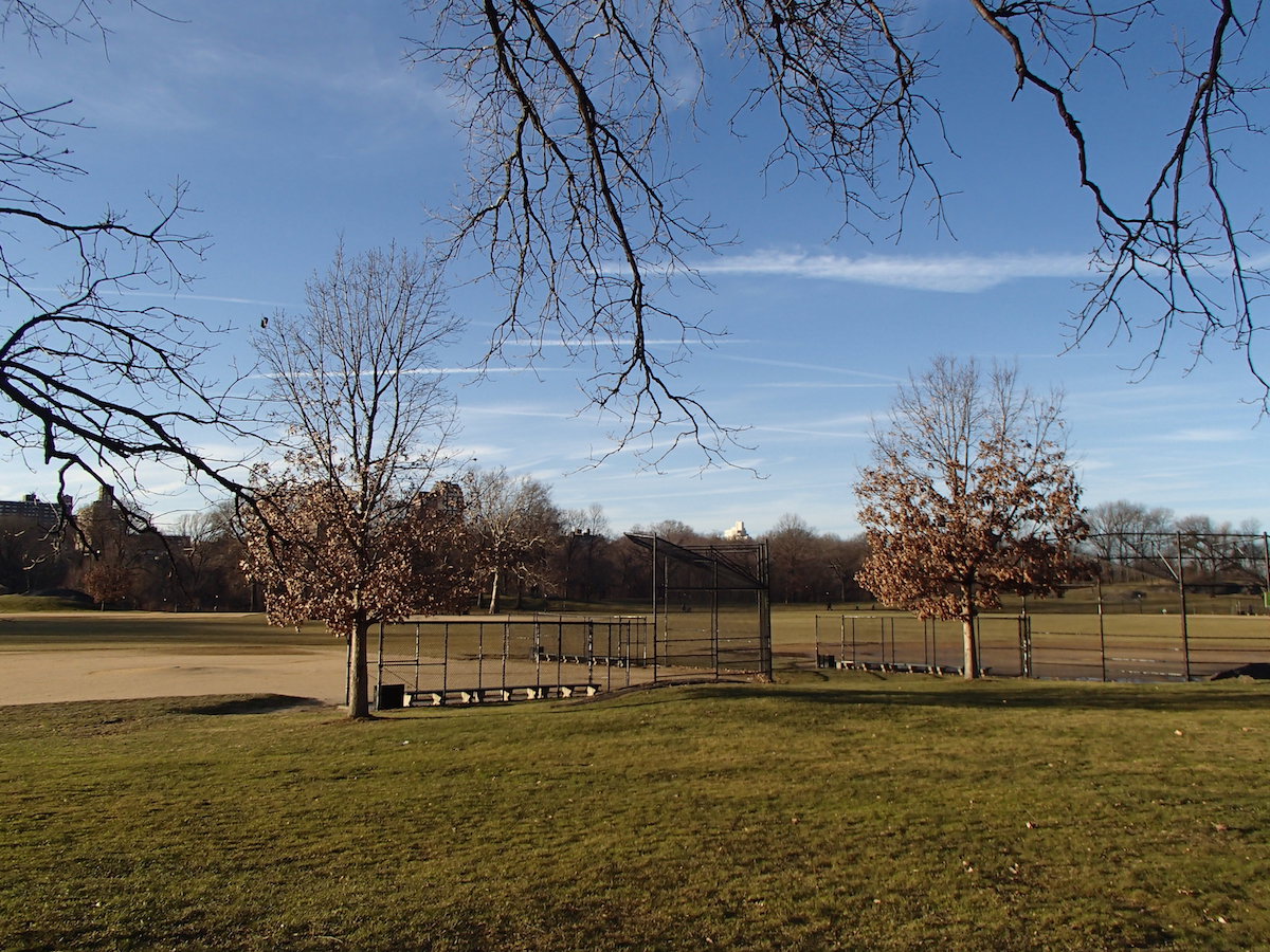 everything brisa: North Meadow Central Park #EveryPath everything brisa: North Meadow Central Park #EveryPath