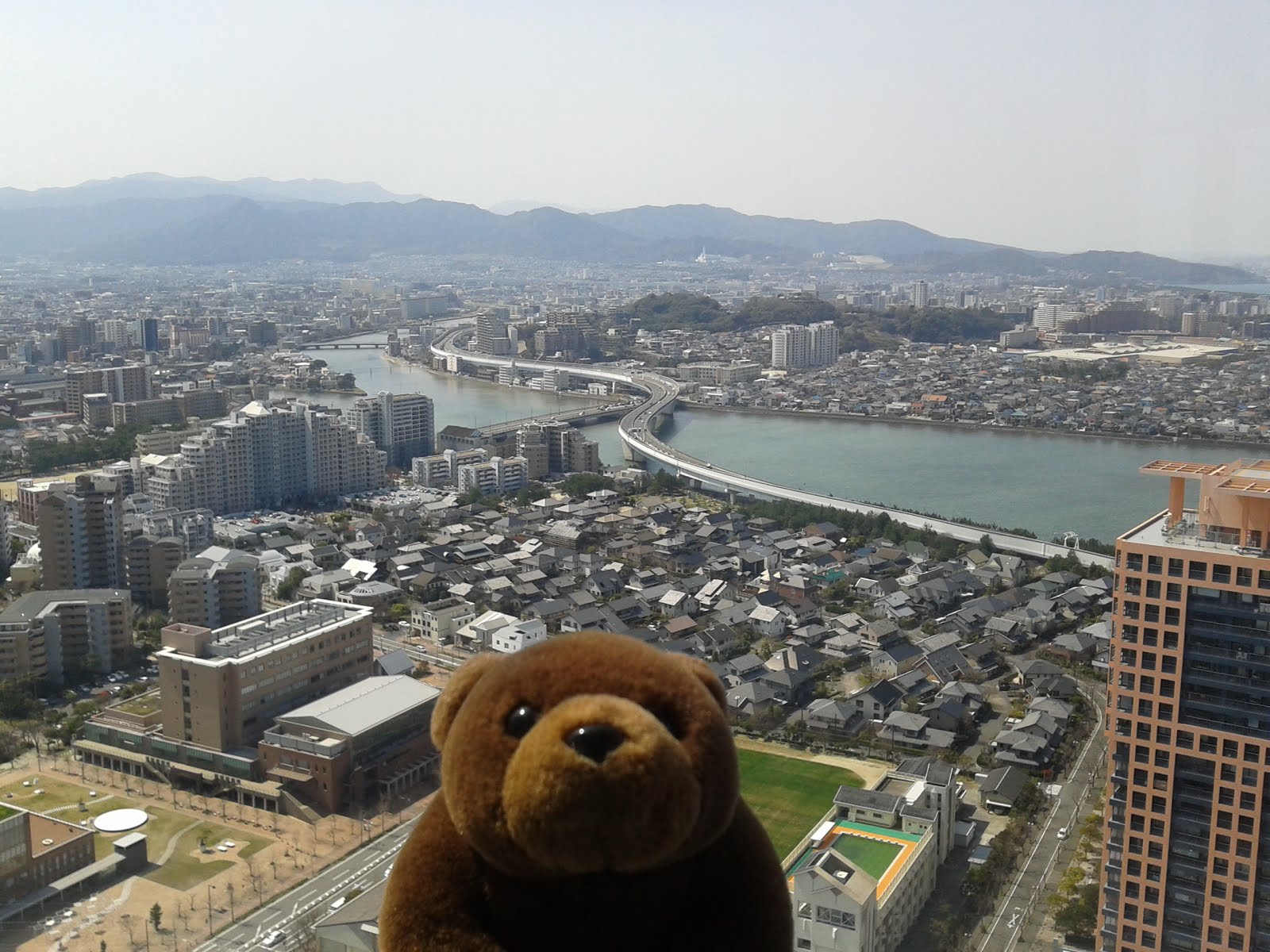 Teddy on top of Fukuoka tower