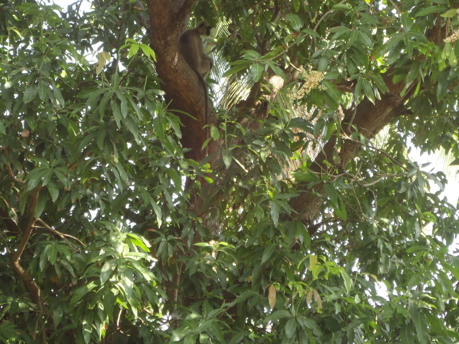 "Göçebe"lik notları&hellip; Yeni Ev