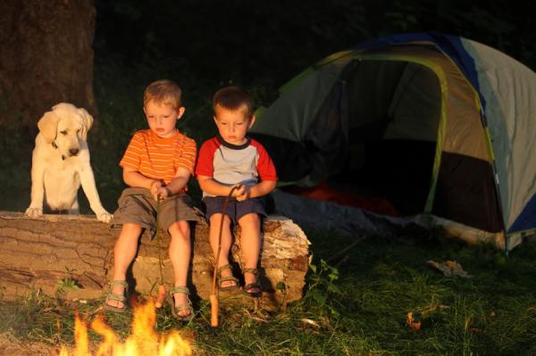 Fun Activities to Do When Camping