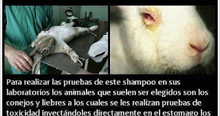 TIPOS DE EXPERIMENTOS CON ANIMALES