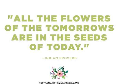 Seeds Of Today