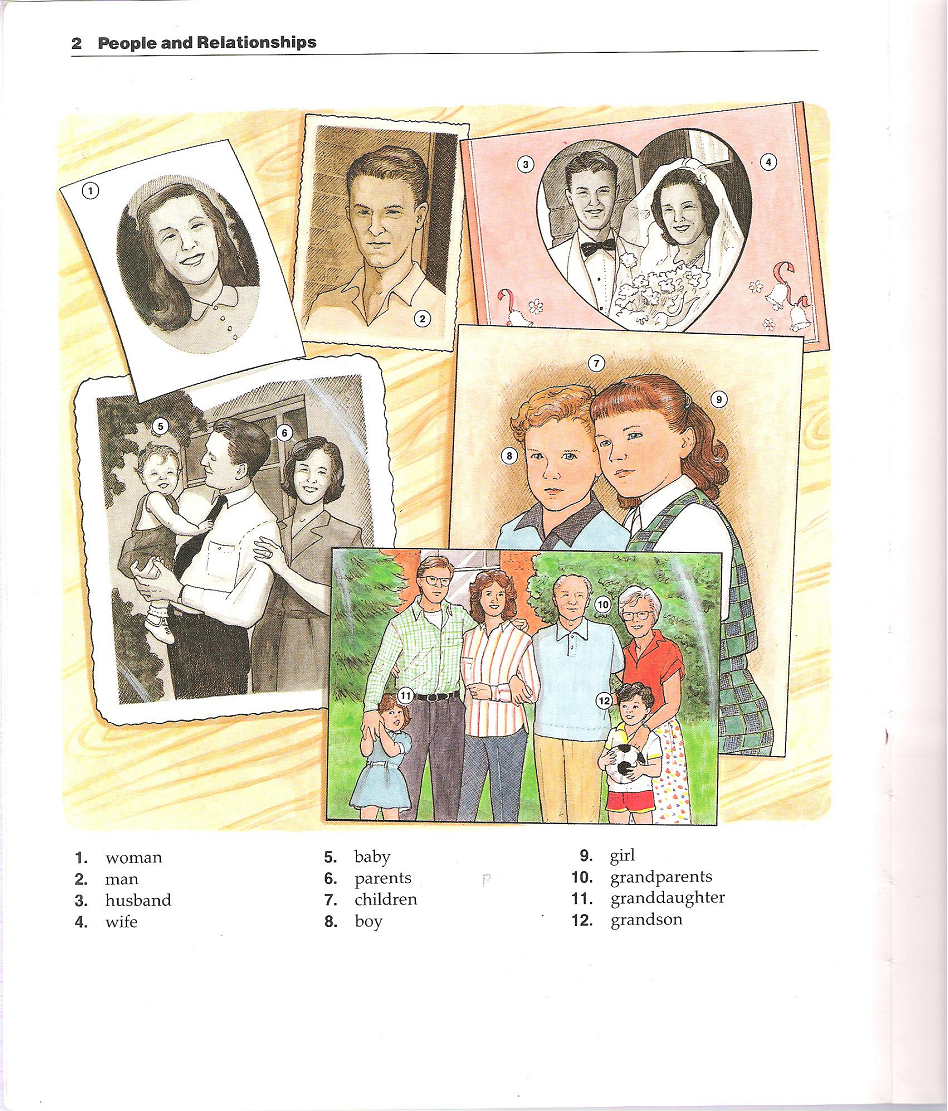 The New Oxford Picture Dictionary ENGLISH EBOOK