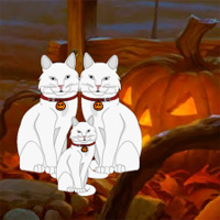 WowEscape Halloween White Cat Escape