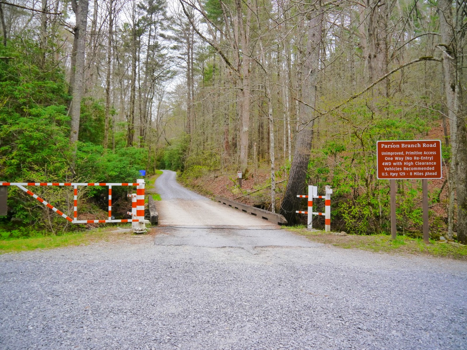 American Travel Journal Parson Branch Road Great Smoky Mountains