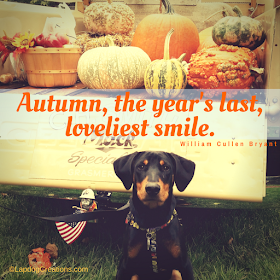 doberman rescue dog fall autumn mack truck pumpkins