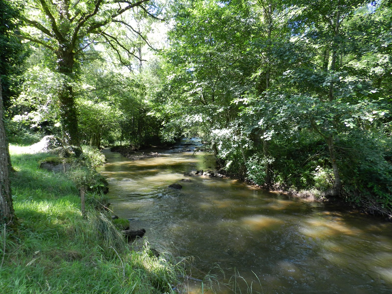 La Rivière La Colmont à 1km Gîte de Pêche "la Hamelinière"