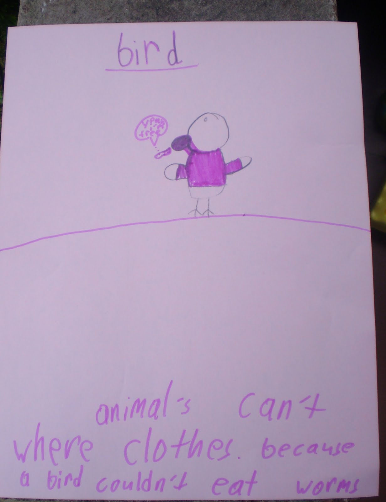 Creative and Curious Kids! Animals Should Definitely NOT Wear Clothes....