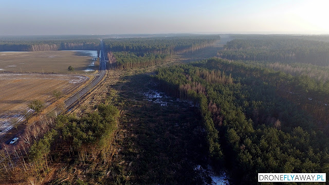 Widok z drona na wycinkę drzew w okolicy wsi Osówiec pod budowę S5