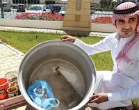 Gulf news, Inspecting, Cooking, Facilities, Restaurant, Discovered, Mouse, Empty pot, Kitchen,