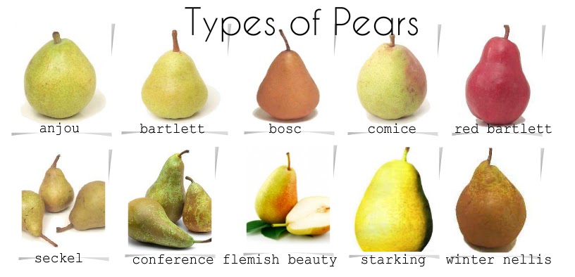 best stores for pear shapes