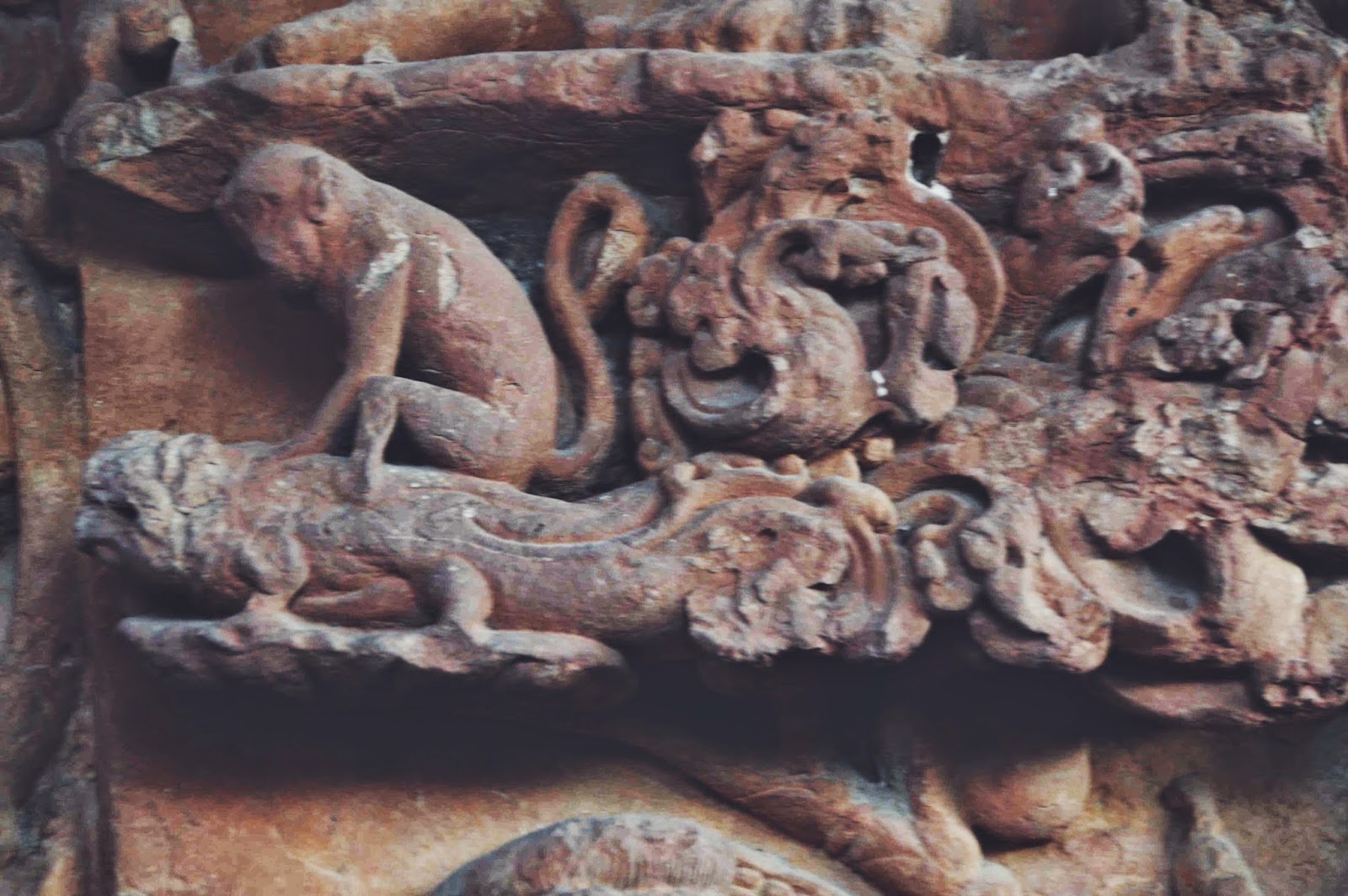 sirpur chhattisgarh budh vihar carvings panchtantra travel tourism 