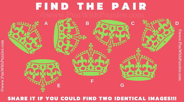 Find the Matching Pair: Crown Picture Puzzle for Teens