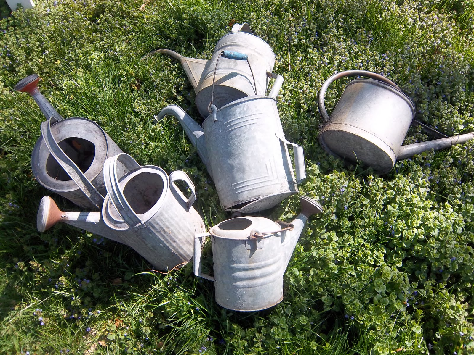 A Sentimental Life Vintage Watering Cans