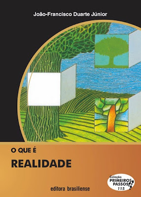 DESCANSO PARA LOUCURA: Resumo 5 - O que é Realidade, de João ...