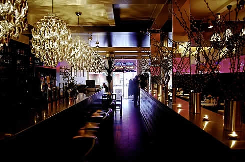 Bag Zebra Pictures: Bar Design Ideas