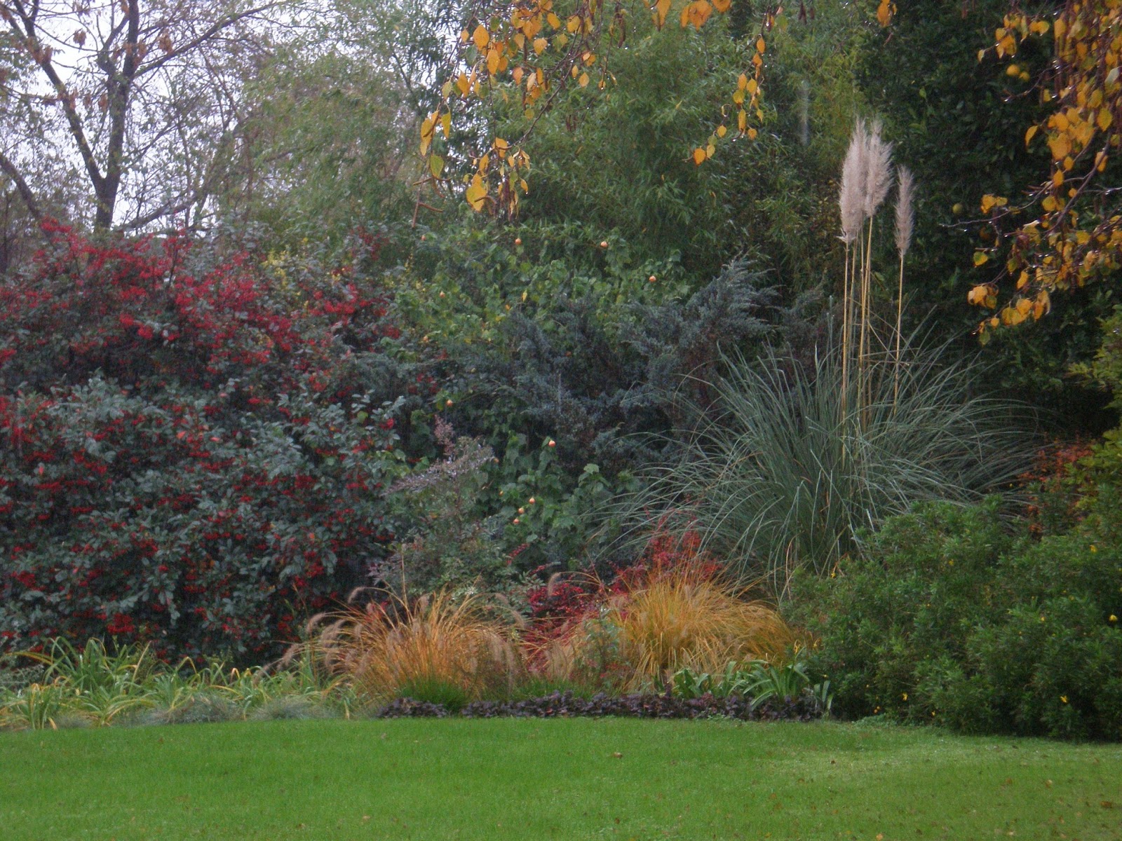 Consejos de jardineria, paisajismo y huerta