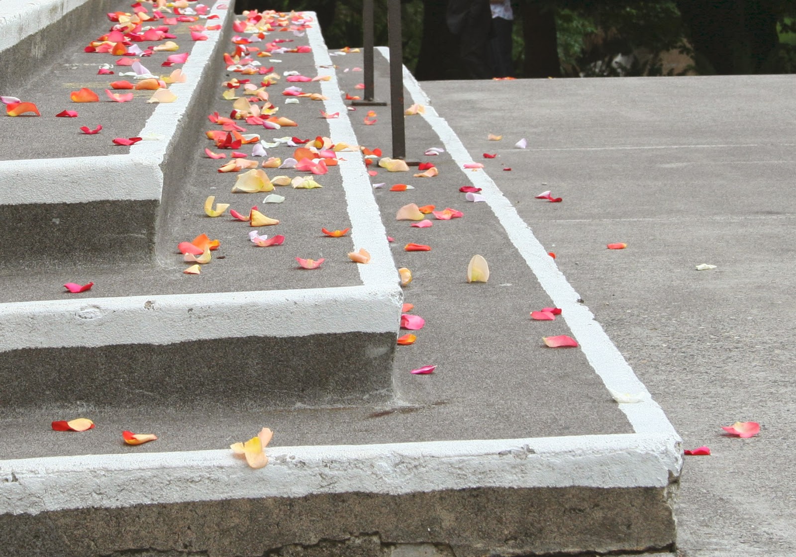 Reasonably Well Energy Crash and Burn Defeat? Or a Time to Learn?