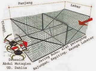 46+ Kawat Jaring Bulat, Info Modis!